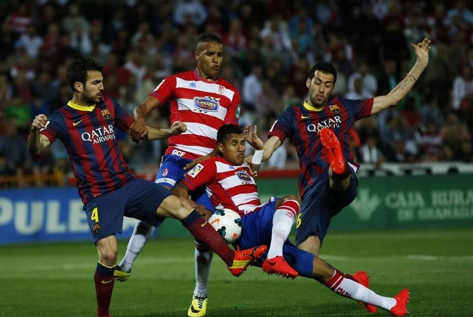 坚定不移的 坚定不移的