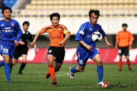 近年来也采 近年来也采