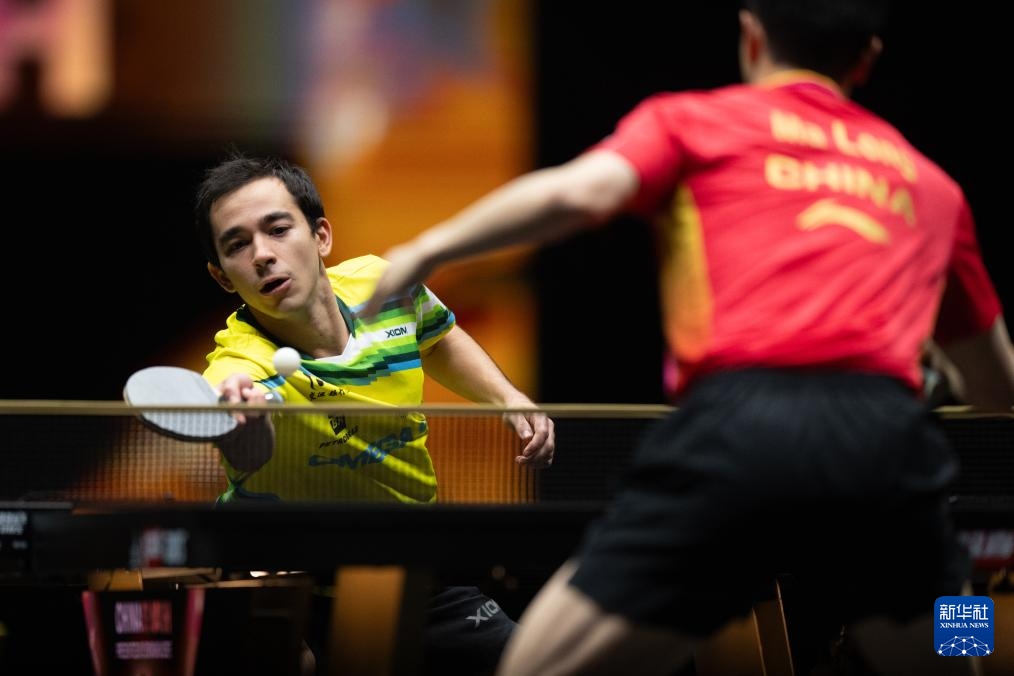 机结合的成 机结合的成